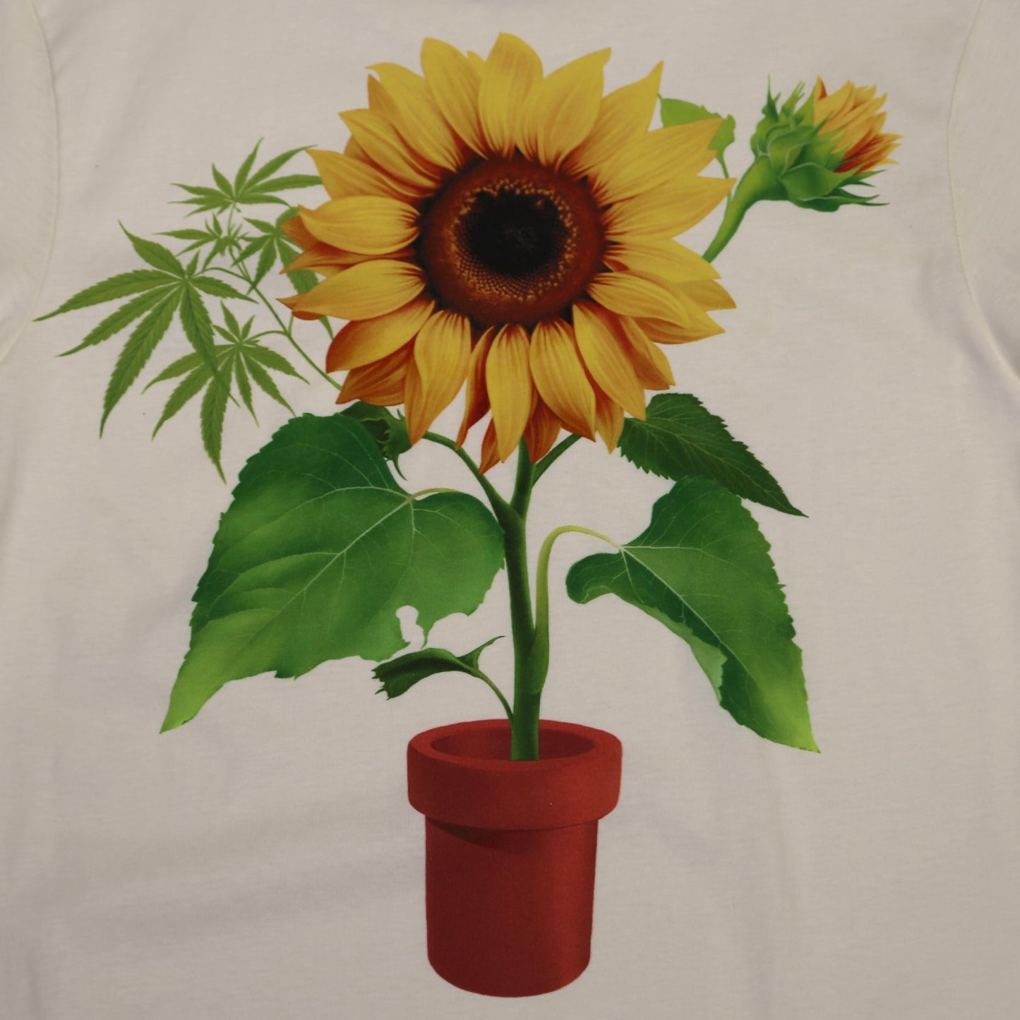 Muddy Waters Too - Sun Flower Tee